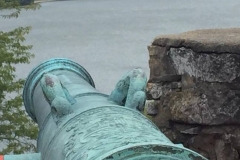 Fort Ticonderoga cannon